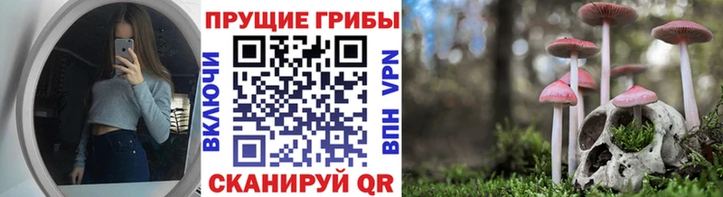 Псилоцибиновые грибы мицелий  Красноуральск 
